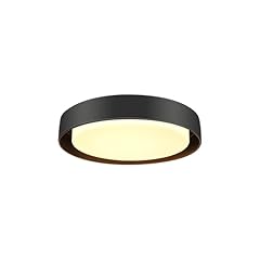 Hlite inch ceiling for sale  Delivered anywhere in USA 