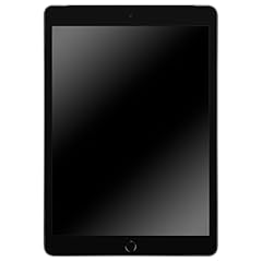 2019 apple ipad usato  Spedito ovunque in Italia 