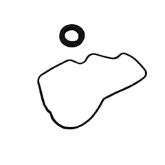 Oil pump seal for sale  Delivered anywhere in USA 