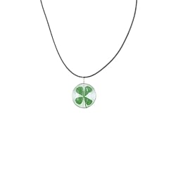 St.patrick day dried for sale  Delivered anywhere in USA 
