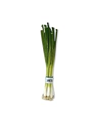 Green onions one for sale  Delivered anywhere in USA 