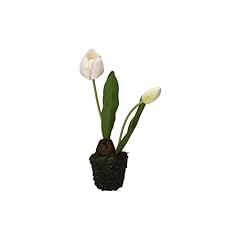 Thun tulipano bianco usato  Spedito ovunque in Italia 
