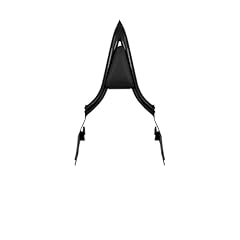 Schienale sissy bar usato  Spedito ovunque in Italia 