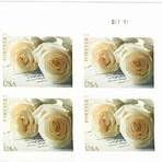 Generic wedding rose for sale  Delivered anywhere in USA 