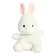 Aurora adorable palm for sale  Delivered anywhere in USA 