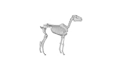 Printle animal horse for sale  Delivered anywhere in USA 
