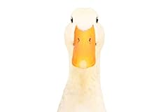 Duck bill face for sale  Delivered anywhere in USA 