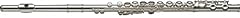 Stagg fl231 flute for sale  Delivered anywhere in UK