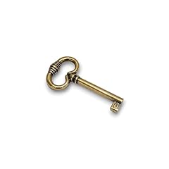 Bricoshopping chiavi per usato  Spedito ovunque in Italia 