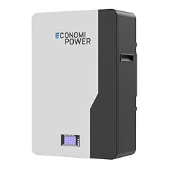 Economipower 51.2v 200ah for sale  Delivered anywhere in USA 