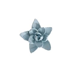 Sonic lee echeveria for sale  Delivered anywhere in USA 