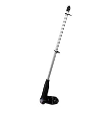 Golf cart flagpole for sale  Delivered anywhere in USA 