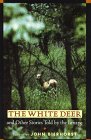 White deer for sale  Delivered anywhere in USA 