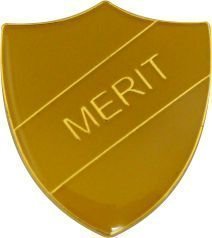 Merit badge for sale  Delivered anywhere in UK