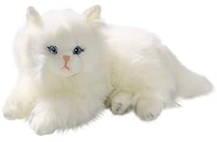 Cat persian white for sale  Delivered anywhere in USA 