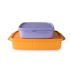 Tupperware clevere pause gebraucht kaufen  Wird an jeden Ort in Deutschland
