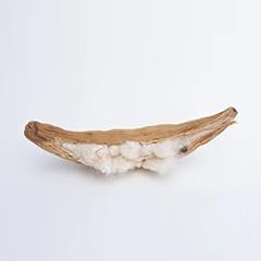 Customized premium kapok for sale  Delivered anywhere in USA 
