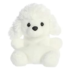Aurora adorable palm for sale  Delivered anywhere in UK