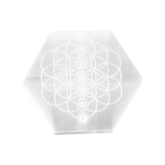 Nklaus piastra selenite usato Nklaus piastra selenite usato  Spedito ovunque in Italia