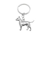 English bull terrier for sale  Delivered anywhere in UK