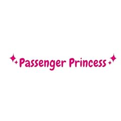 Passenger princess adesivo usato  Spedito ovunque in Italia 