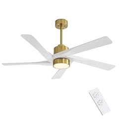 Wingbo abs ceiling for sale  Delivered anywhere in USA 