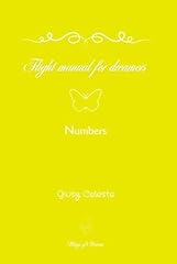 Flight manual for usato  Spedito ovunque in Italia 
