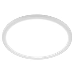 Briloner led deckenlampe gebraucht kaufen  Wird an jeden Ort in Deutschland