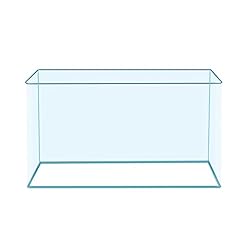Gallon aquarium fish for sale  Delivered anywhere in USA 