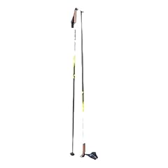 Fischer rc3 carbon usato  Spedito ovunque in Italia 