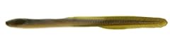 Berkley gulp eel for sale  Delivered anywhere in USA 