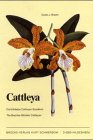 Die bifoliaten cattleyen d'occasion  Livré partout en France