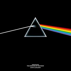 Pink floyd the gebraucht kaufen  Wird an jeden Ort in Deutschland