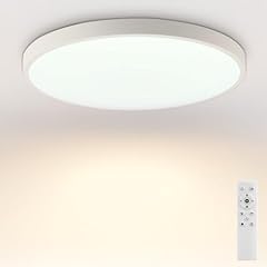 Raymin deckenlampe fernbedienu gebraucht kaufen  Wird an jeden Ort in Deutschland