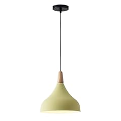 Color danish ceiling usato  Spedito ovunque in Italia 