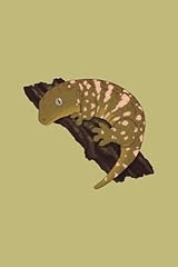 Leachianus gecko leachie for sale  Delivered anywhere in UK