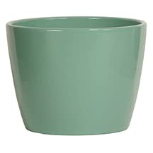 Garden home jade for sale  Delivered anywhere in USA 