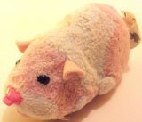 Zhu zhu pets for sale  Delivered anywhere in USA 