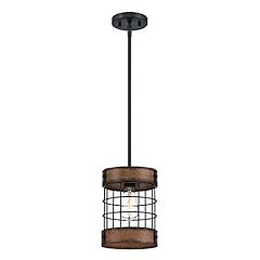 Westinghouse lighting 6117940 d'occasion  Livré partout en France