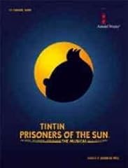Tintin concert band d'occasion  Livré partout en France