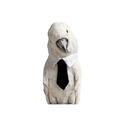 Bird collar bird for sale  Delivered anywhere in USA 