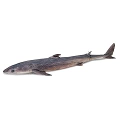 Formalin pregnant dogfish for sale  Delivered anywhere in USA 