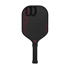 Racchetta pickleball blaze usato  Spedito ovunque in Italia 