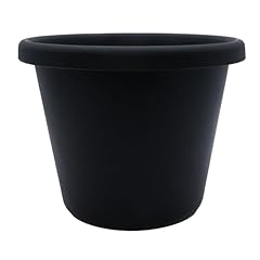 Companies classic round for sale  Delivered anywhere in USA 