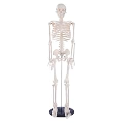Breesky scientifc human for sale  Delivered anywhere in USA 