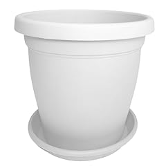 Sicignano vaso verona usato  Spedito ovunque in Italia 