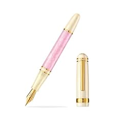 Interact fountain pen for sale  Delivered anywhere in USA 