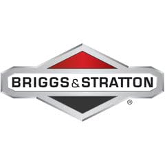 Briggs stratton 386447 for sale  Delivered anywhere in USA 