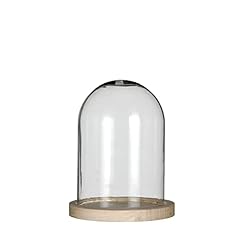 Campana vetro cupola usato  Spedito ovunque in Italia 