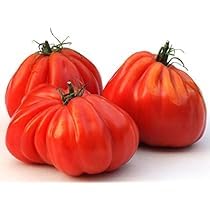Pomodoro cuore bue usato  Spedito ovunque in Italia 